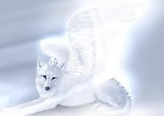 wolf_angel.jpg picture by LagoonWolf09