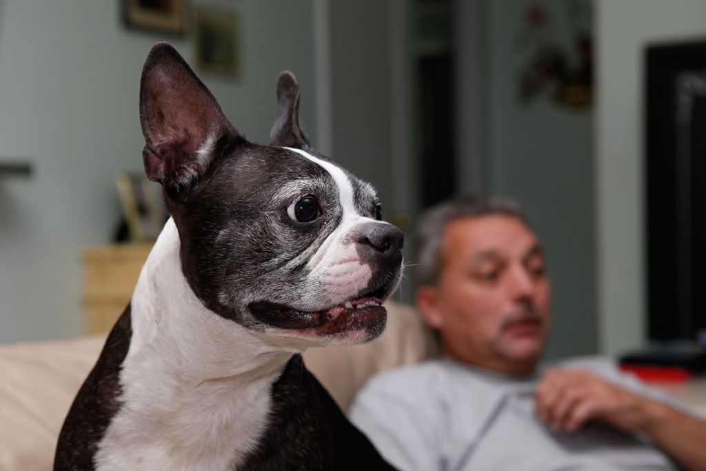 IMAGE: http://i676.photobucket.com/albums/vv122/edwolanin/Mr%20Bean/_MG_1332-edit.jpg