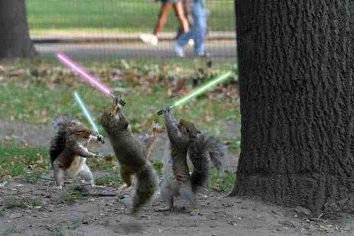 Squirrels with Lightsabers