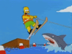 Jump the shark Pictures, Images and Photos