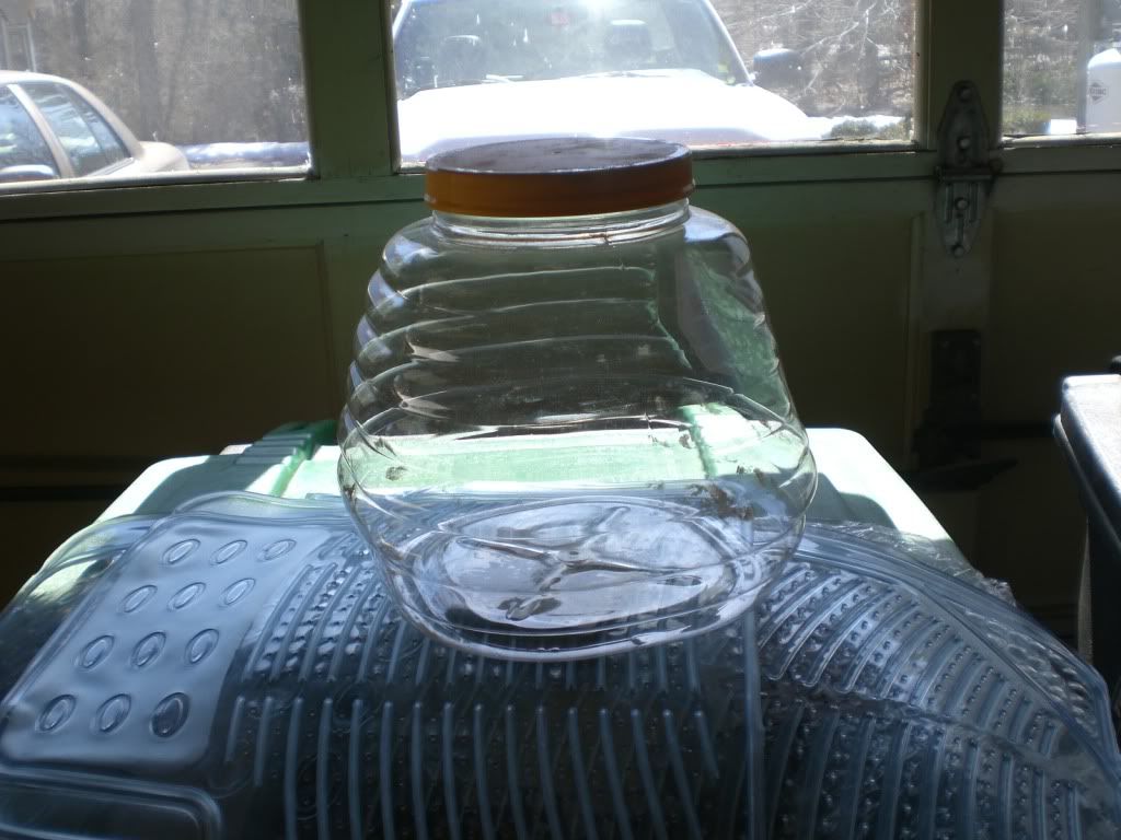 beehive 1
