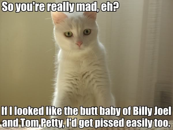 buttbabycat.jpg