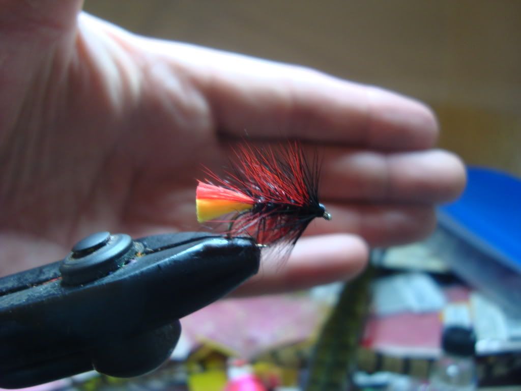 clan chief fly