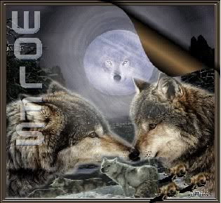 WolfPhotoforWolfHallBadge.jpg