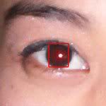Remove Red Eye Effects using Photoshop
