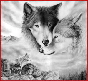 wolf photo: Wolf wolf.jpg