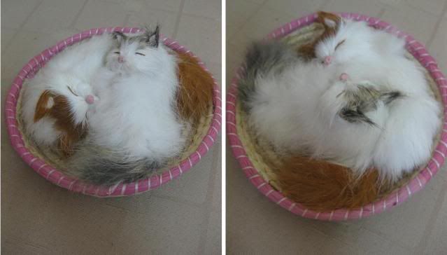 GẤU BÔNG KUTE  lên sàn lun - Endtime 23h59 21/04/09 - 2