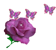 Recados de Flor, Os mais belos Recados de Flor - Página 8