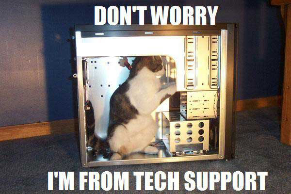 TechSupportCat-1.png