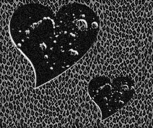 animal print hearts dots Myspace Backgrounds