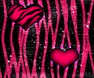 zebra hearts Myspace Backgrounds
