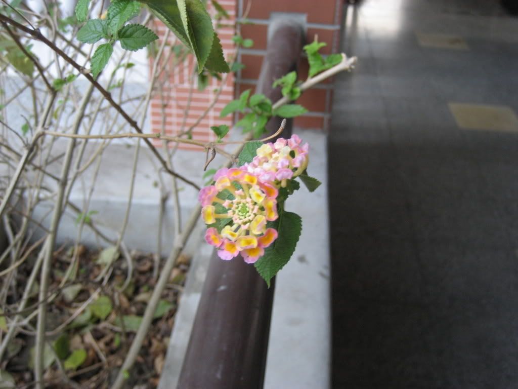 IMG_3588.jpg