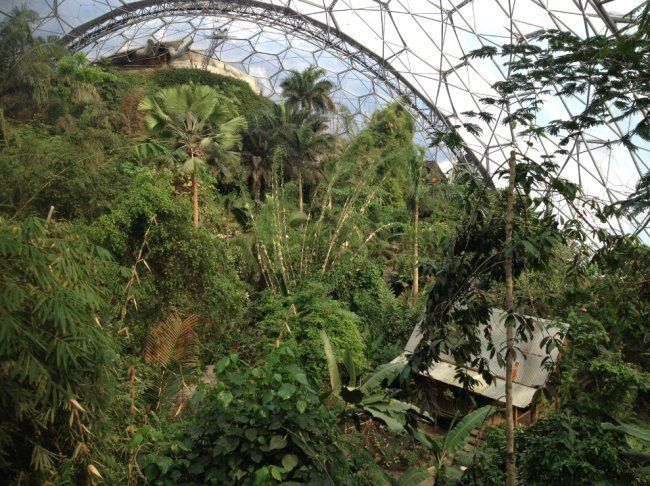  photo eden_project_inside_zpsyarb5y2s.jpg