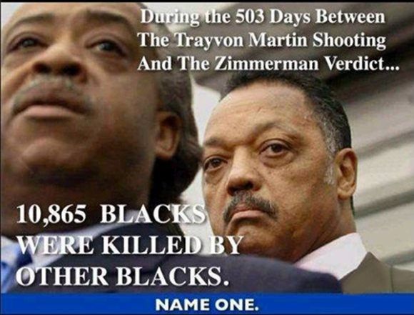  photo factsnotagenda_TrayvonMartin_zps3fd04396.jpg