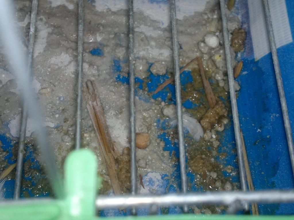 :(Nhờ anh em giúp đỡ gấp, tình trạng nguy hiểm kéo dài 1 tuần rồi