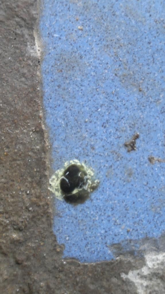 nhờ mọi người xem giúp đây là bệnh gì và chỉ giúp cách điều trị, cám ơn